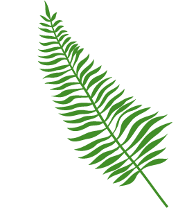 ASCDZ Transparent leaf logo